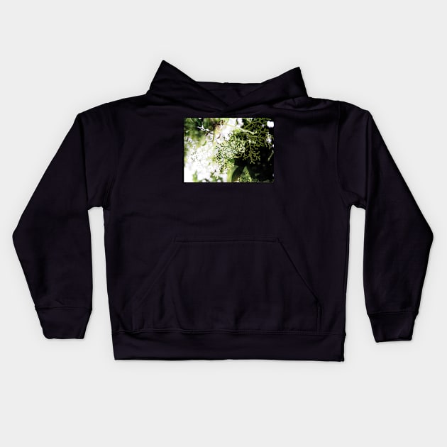 Elderflower blossom in midsummer light Kids Hoodie by WesternExposure